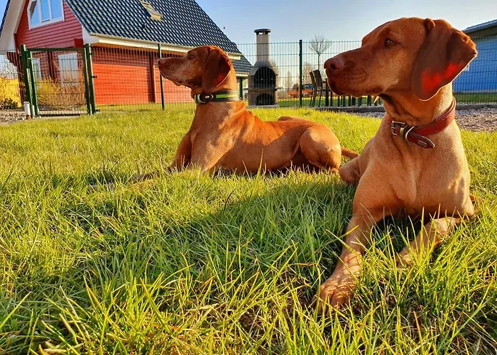 Ferienhaeuser * Oberdorla