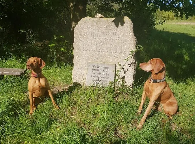 בית נופש Ferienhaeuser *