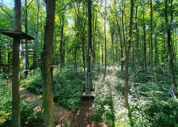 Ferienhaeuser Oberdorla