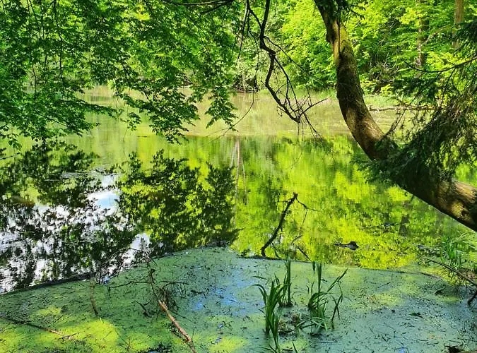 Ferienhaeuser בית נופש *